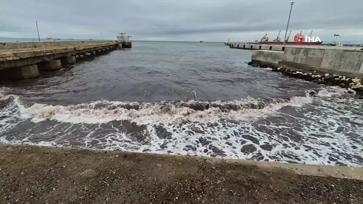 Tekirdağ’da Poyraz, Kızıl Yosunları Kıyıya Taşıdı